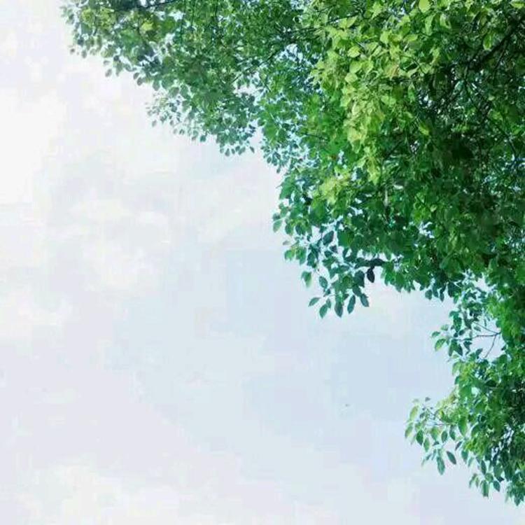 松尾谕（饰 未知角色） - 天堂视频在线观看1 - 电脑视频